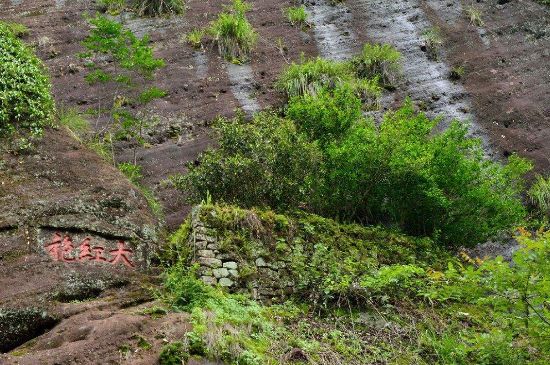 武夷巖茶大紅袍，喝起來(lái)是什么味道？
