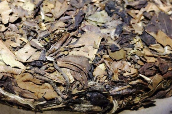 煮茶的步驟圖解，正確的煮白茶方法！