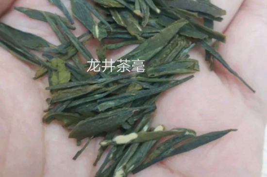 西湖龍井茶毫和發(fā)霉區(qū)別圖片，長霉的龍井茶葉會是什么樣？