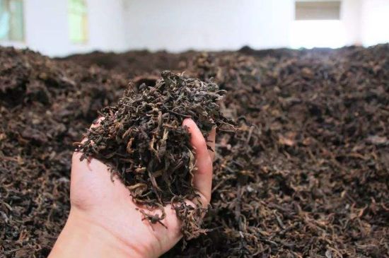 茯磚茶與普洱茶哪個(gè)好，茯茶和普洱茶口味區(qū)別