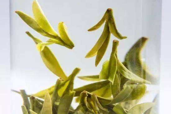 烏牛早和龍井的區(qū)別圖片，龍井43號(hào)和烏牛早茶的對(duì)比