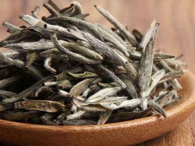 白茶有哪些品種排名，<a href=http://m.hnlxdf.com/fenlei/baicha/ target=_blank class=infotextkey>白茶的種類(lèi)</a>大全