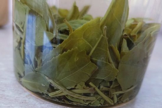 綠茶陳茶和新茶區(qū)別，綠茶怎樣區(qū)分新茶和陳茶