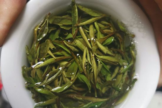 什么人不能喝白茶，白茶不宜什么人喝？