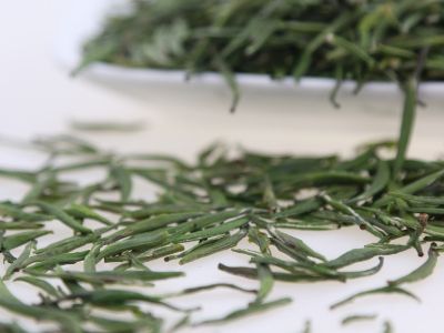 霍山黃芽算是好茶嗎，霍山黃芽屬于什么茶？