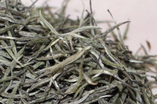 什么人不能喝白茶，白茶不宜什么人喝？