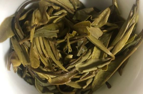 三年白茶賽砒霜，這是真的嗎？