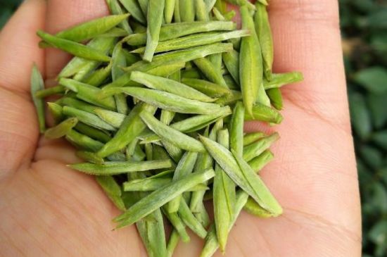 什么綠茶味道濃香，那個(gè)綠茶比較濃香？