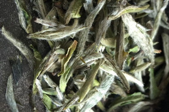 白毫銀針年份久的有什么香，陳年白毫銀針的香氣