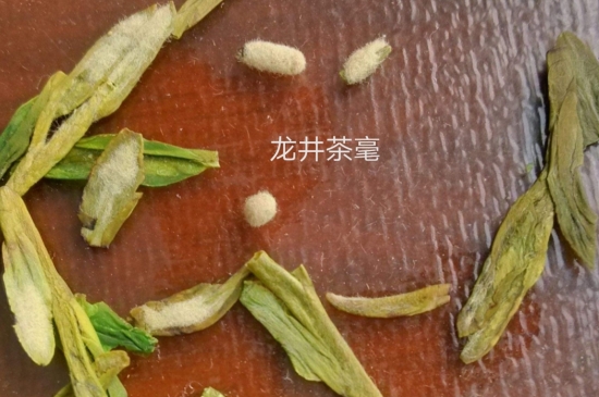 西湖龍井茶毫和發(fā)霉區(qū)別圖片，長霉的龍井茶葉會是什么樣？