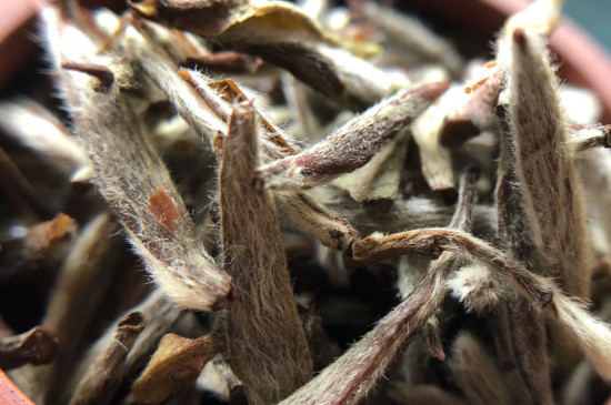 白毫銀針年份越久越好嗎，銀針白毫是否越陳越好