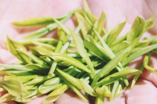 龍井是明前的好還是雨前的好，明前茶和雨前茶哪個(gè)好喝？