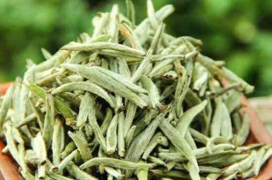 白毫銀針年份越久越好嗎，銀針白毫是否越陳越好