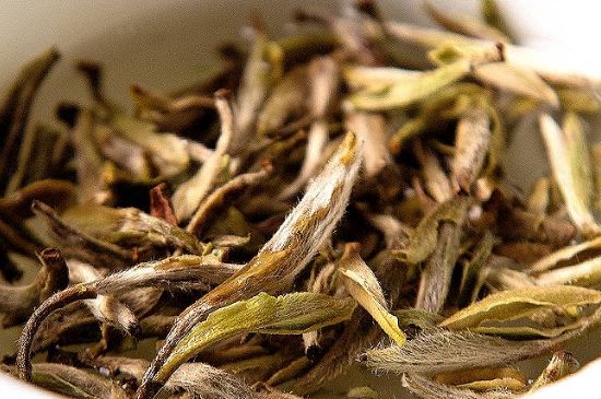 荒野銀針市場(chǎng)價(jià)多少，真正的荒野白毫銀針多少錢？