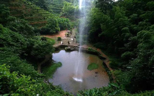 武夷山為什么盛產(chǎn)茶葉，武夷山茶為什么好喝？