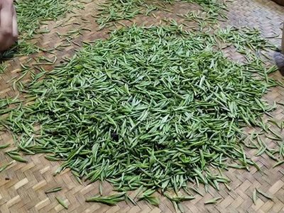 金駿眉幾年可以算陳茶，金駿眉新茶好還是老茶