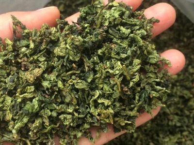 鐵觀音毛茶茶?？梢耘菟葐?，鐵觀音帶梗是不是好茶？