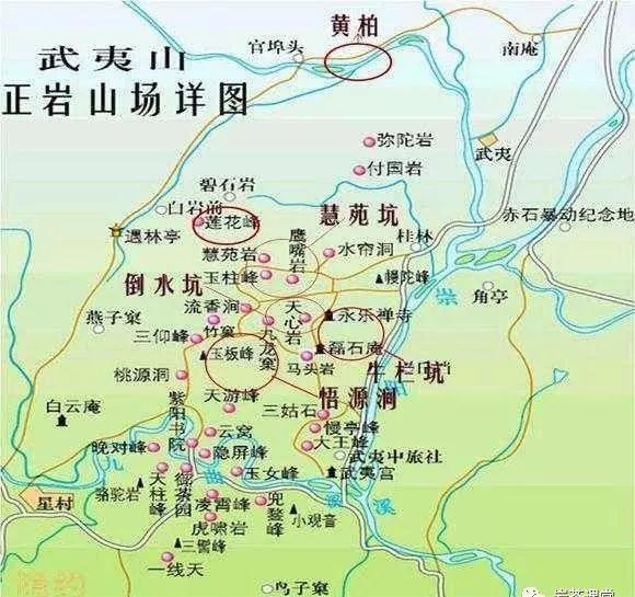 300塊錢(qián)的金駿眉能喝嗎，兩三百多金駿眉和一千多區(qū)別