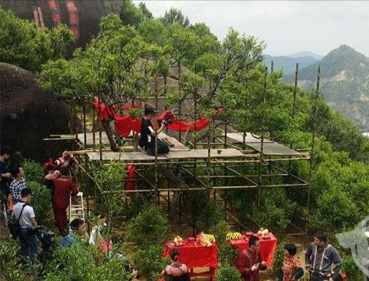 宋種一號價值為什么高，鳳凰單樅宋種1號價格與產量多少？