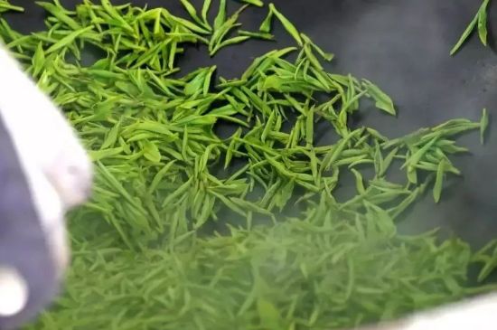 碧螺春為什么泡水渾濁，碧螺春茶葉泡水感覺很臟是混濁的