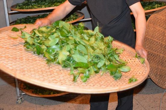 鐵觀音加香精騙局，鐵觀音的香味是添加香精了嗎？