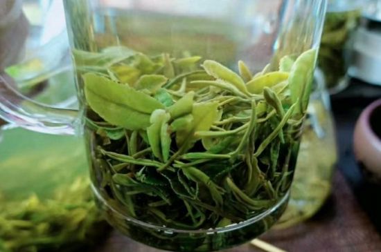 什么綠茶味道濃香，那個(gè)綠茶比較濃香？